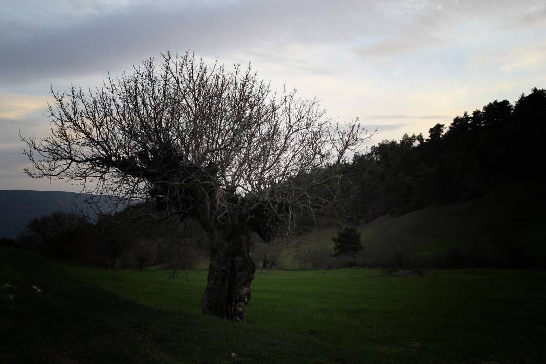 Durağan Sarnıkalıncası Köyü Resimleri 1