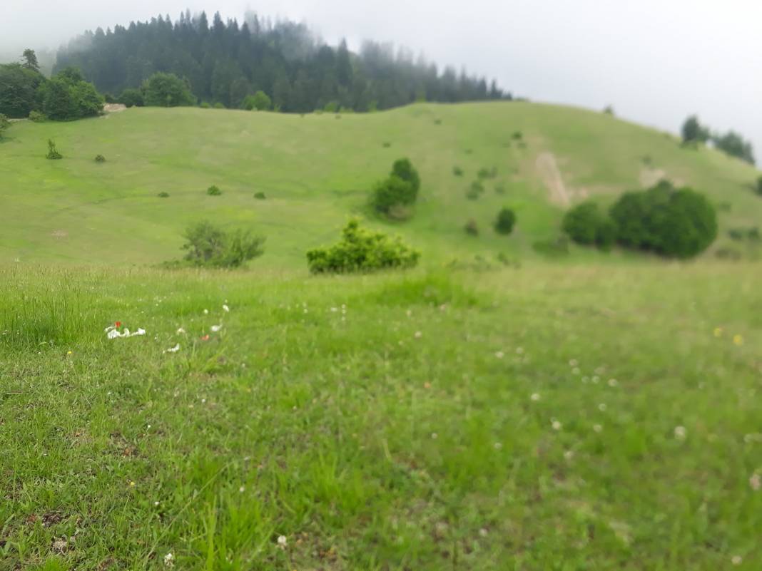 Durağan Uzunöz Köyü Resimleri 4