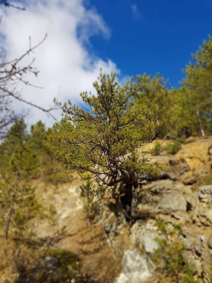 Durağan Uzunöz Köyü Resimleri 6