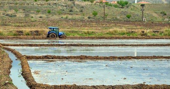 Durağan Yağbasan Köyü Resimleri 2