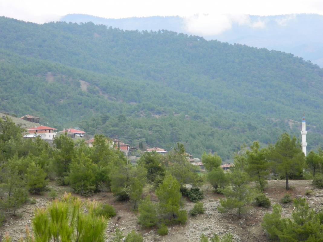 Durağan Yanalak Köyü Resimleri 13