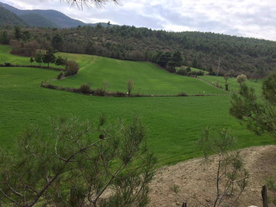 Durağan Yeşilkent Köyü Resimleri 2