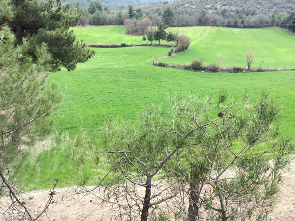 Durağan Yeşilkent Köyü Resimleri 4