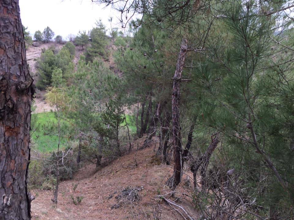 Durağan Yeşilkent Köyü Resimleri 5