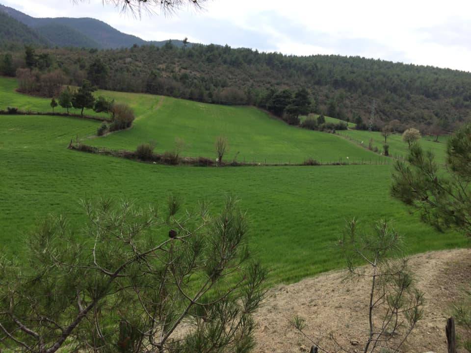 Durağan Yeşilkent Köyü Resimleri 6