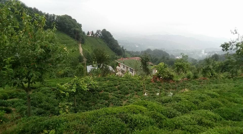 Derepazarı Maltepe Köyü Resimleri 4