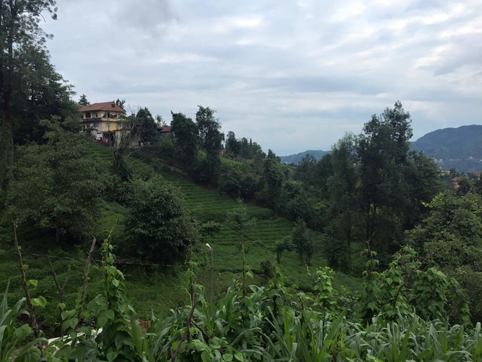 Derepazarı Maltepe Köyü Resimleri 5