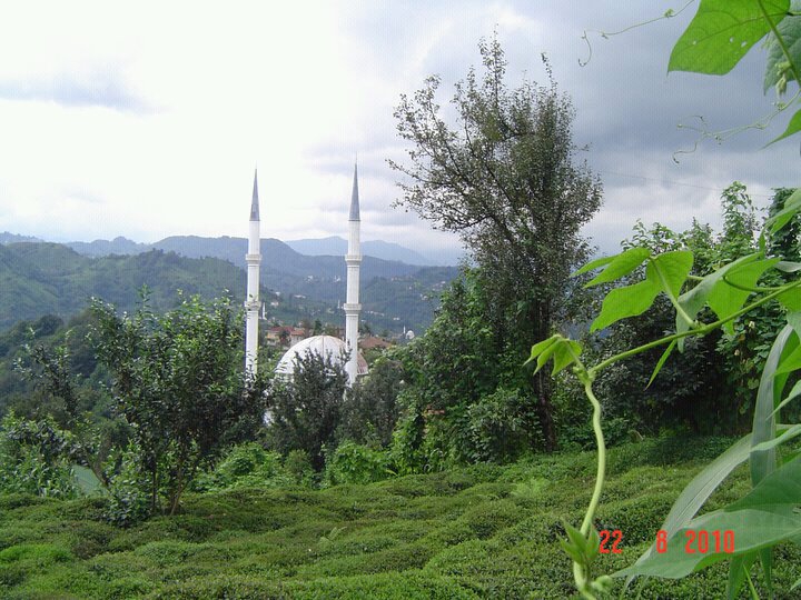 Derepazarı Maltepe Köyü Resimleri 6