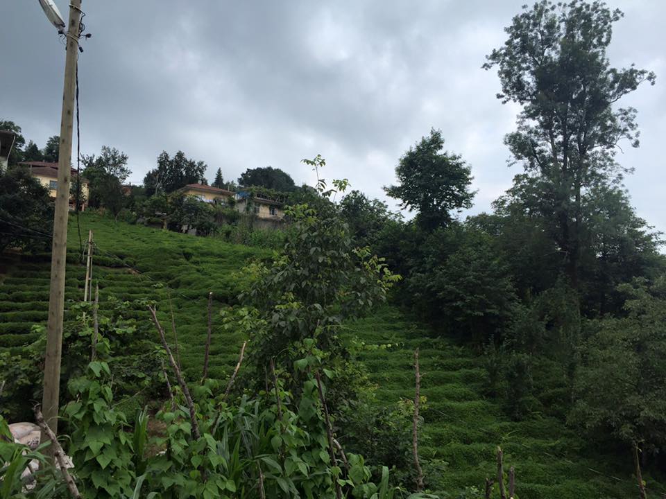 Derepazarı Maltepe Köyü Resimleri 7