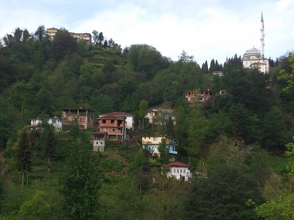 Derepazarı Maltepe Köyü Resimleri 8