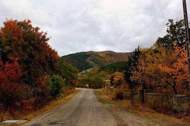 Çorum Hamdiköy Köyü Resimleri 1
