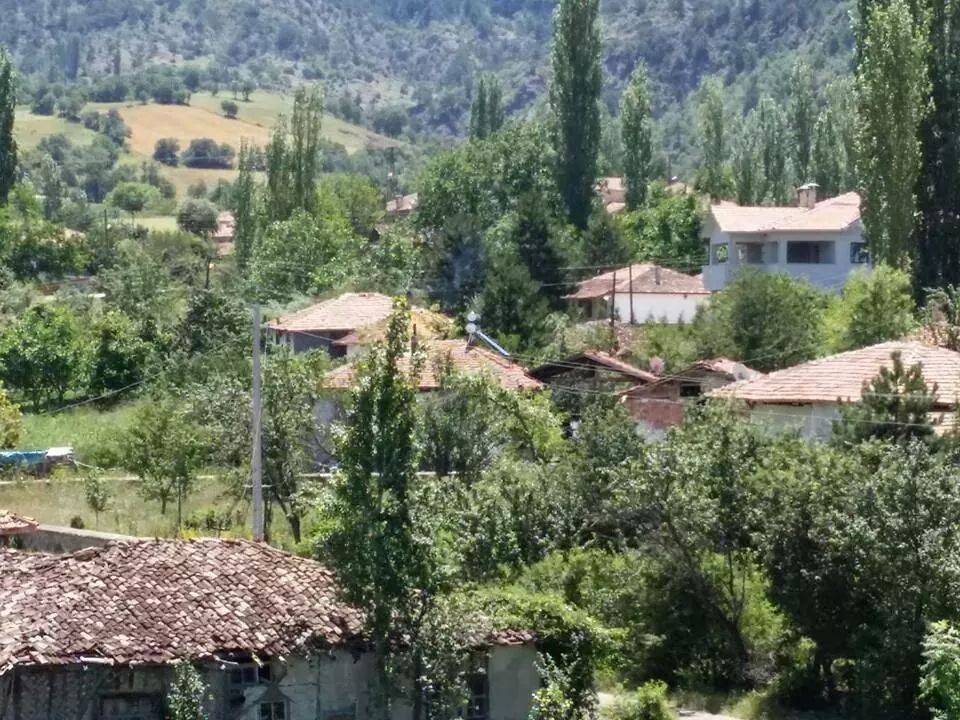 Çorum Hamdiköy Köyü Resimleri 2