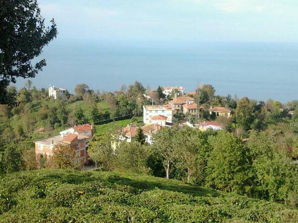 Derepazarı Sandıktaş Köyü Resimleri 11