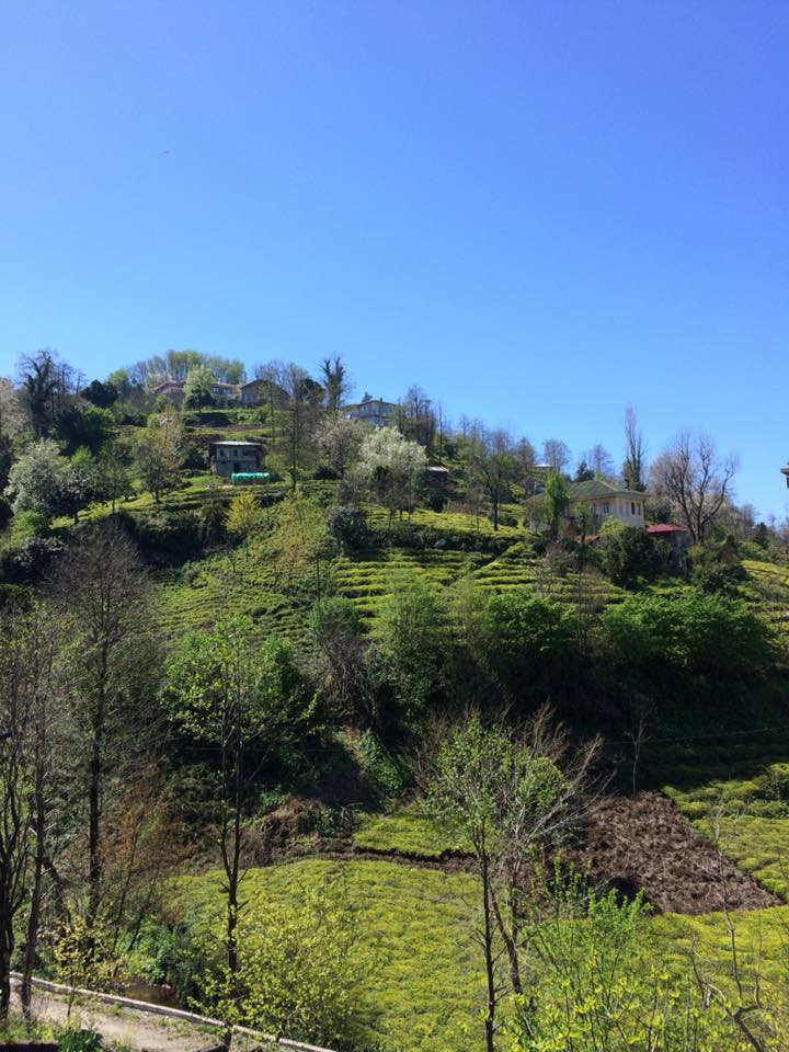 Derepazarı Sandıktaş Köyü Resimleri 12