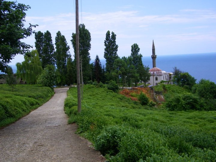 Derepazarı Sandıktaş Köyü Resimleri 2