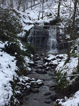 Derepazarı Sandıktaş Köyü Resimleri 5