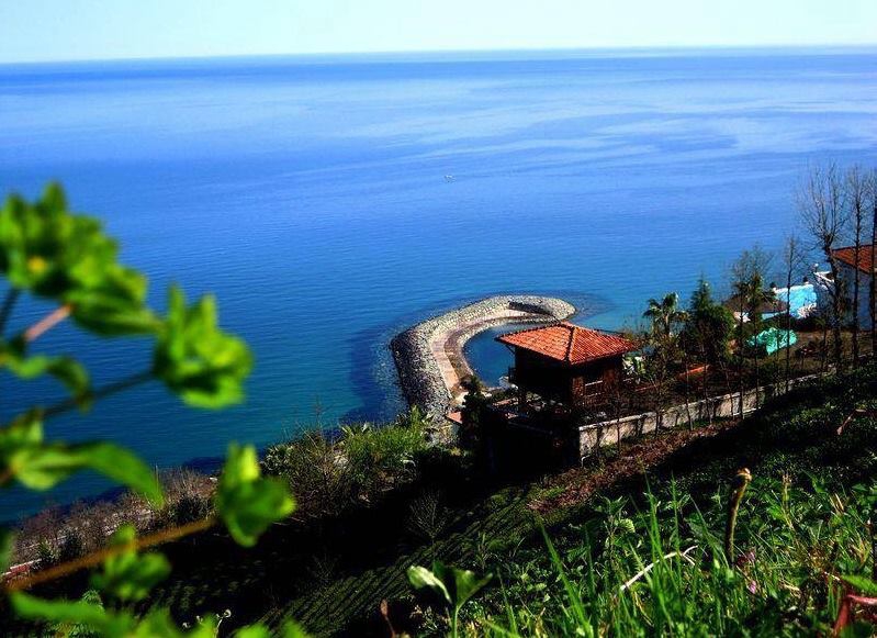 Derepazarı Yanıktaş Köyü Resimleri 1