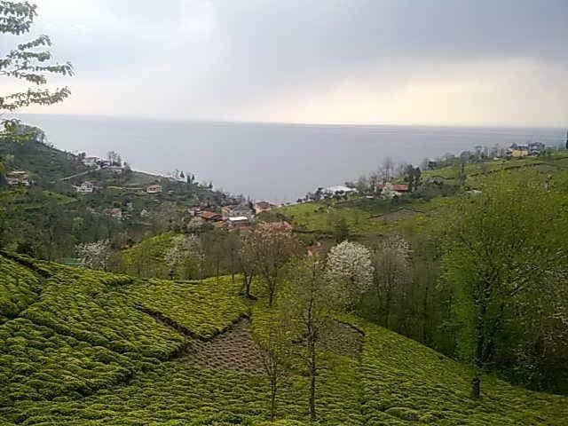 Derepazarı Yanıktaş Köyü Resimleri 10