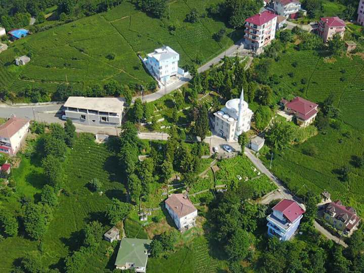 Derepazarı Yanıktaş Köyü Resimleri 11