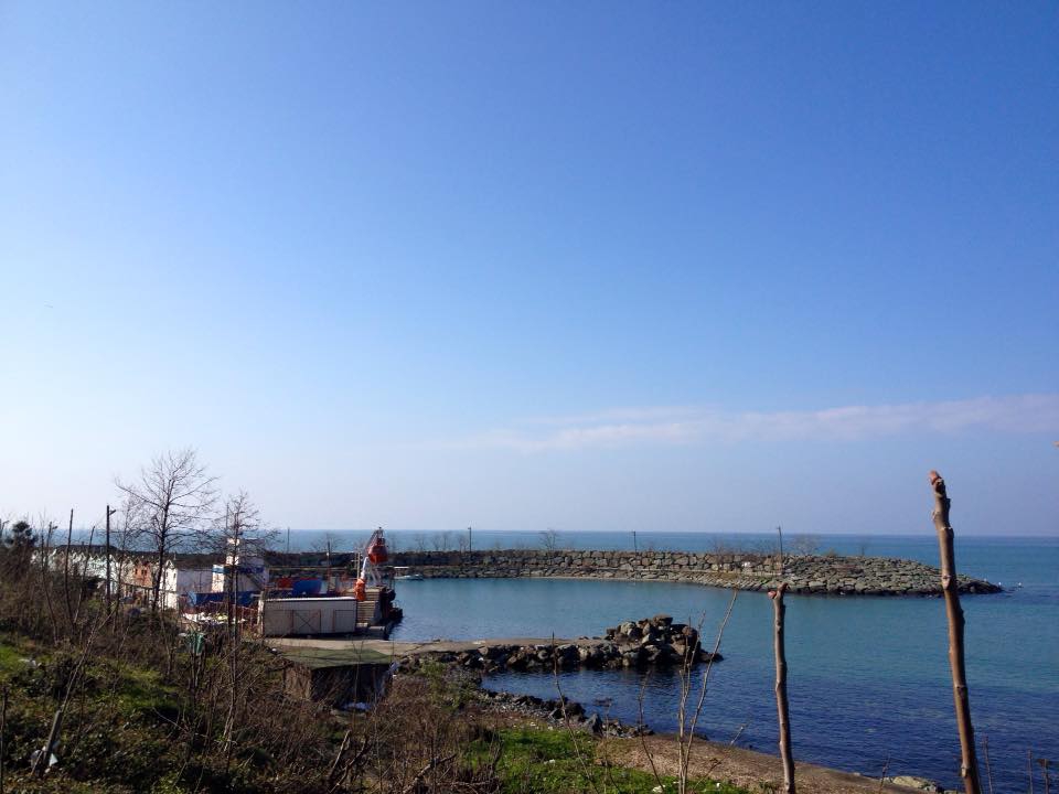 Derepazarı Yanıktaş Köyü Resimleri 13