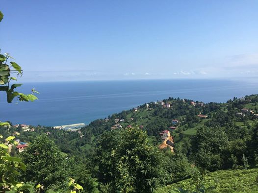 Derepazarı Yanıktaş Köyü Resimleri 14