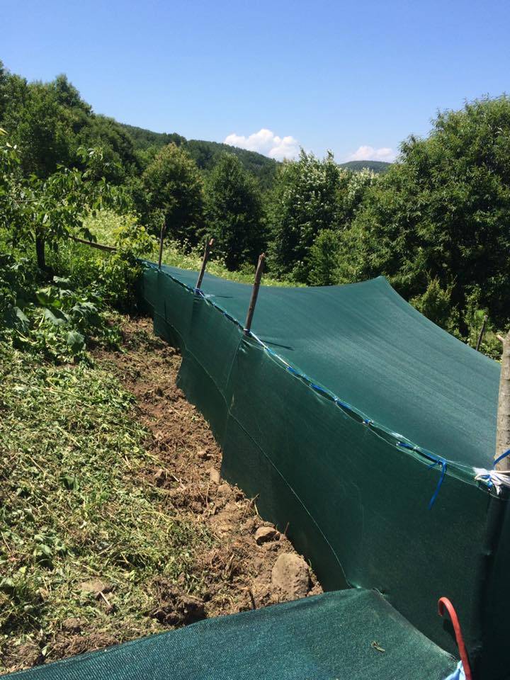 Erfelek Gökçebel Köyü Resimleri 6