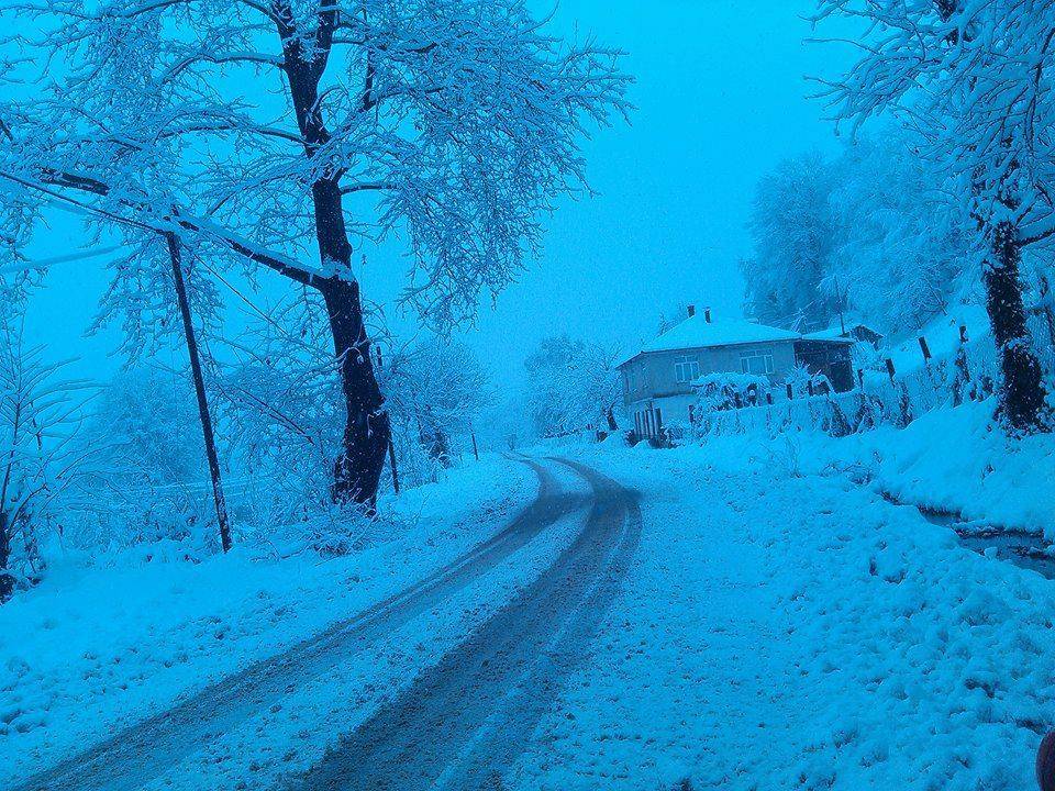 Erfelek Gökçebel Köyü Resimleri 7