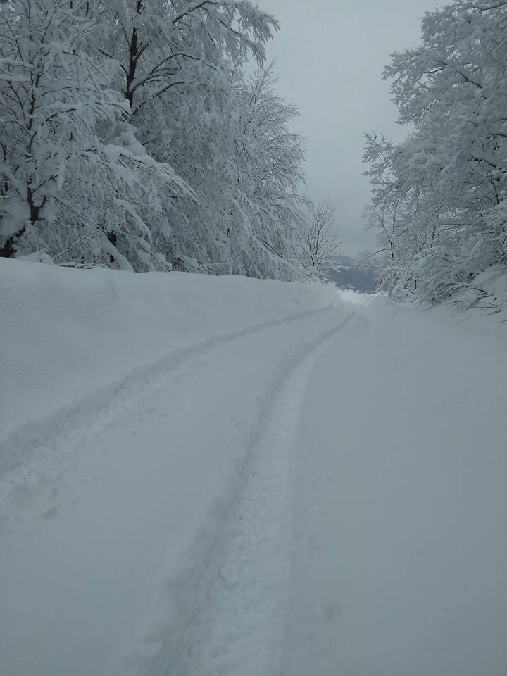 Erfelek Gökçebel Köyü Resimleri 9