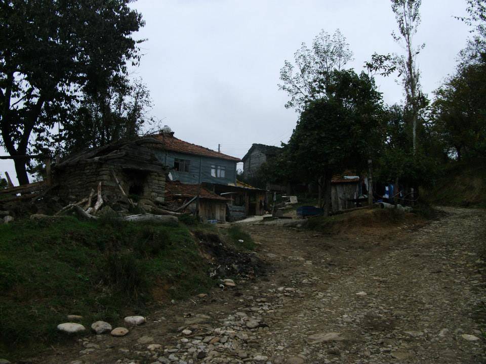 Erfelek Güven Köyü Resimleri 1