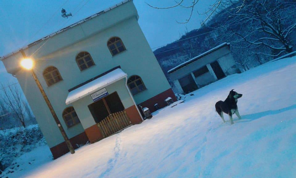 Erfelek Hacılar Köyü Resimleri 4