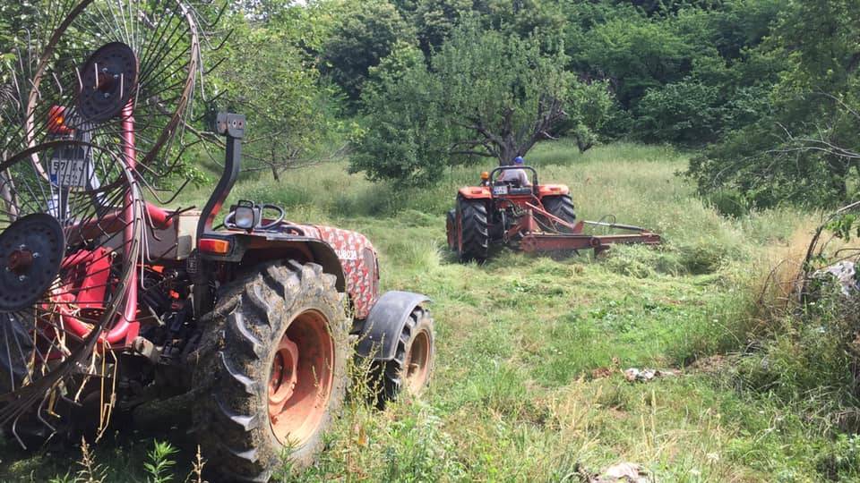 Erfelek Hacılar Köyü Resimleri 7