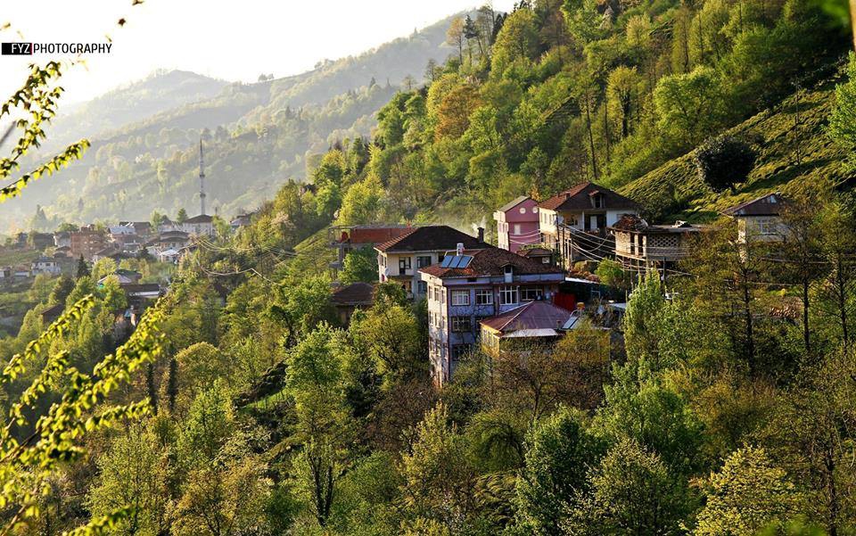 Fındıklı Aslandere Köyü Resimleri 11