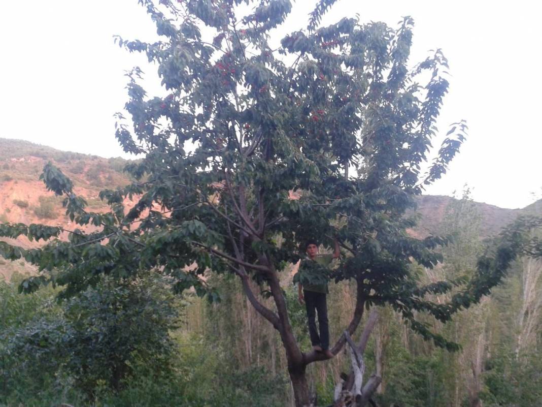 Çorum İkipınar Köyü Resimleri 1