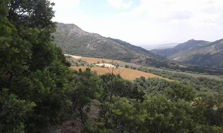 Çorum İkipınar Köyü Resimleri 11