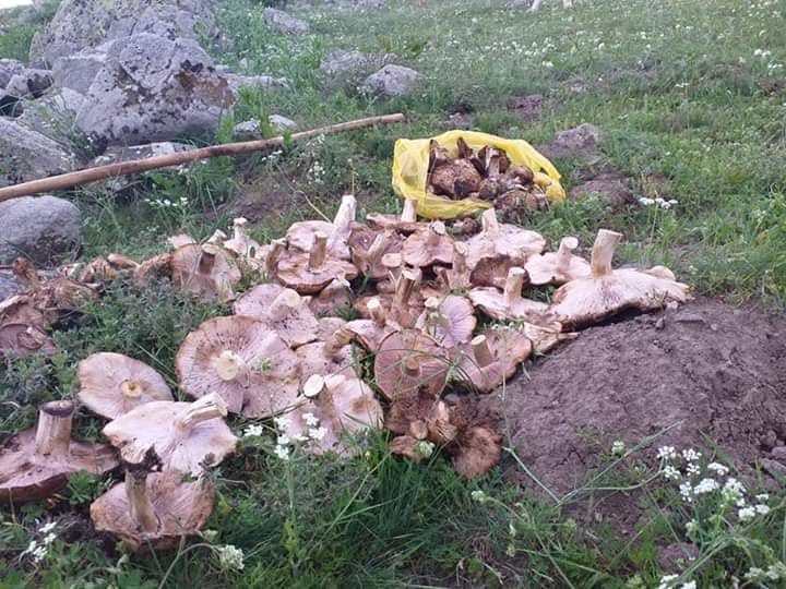 Çorum İkipınar Köyü Resimleri 9