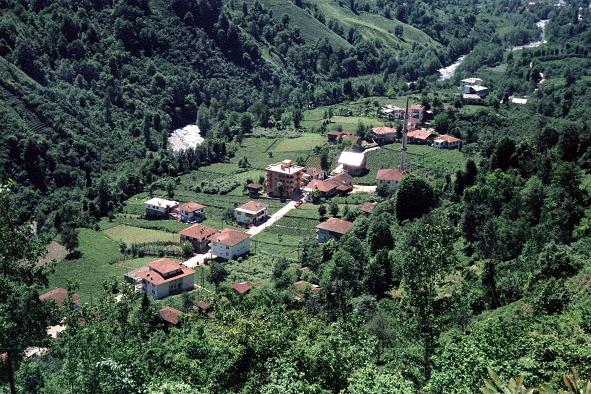 Fındıklı Avcılar Köyü Resimleri 3