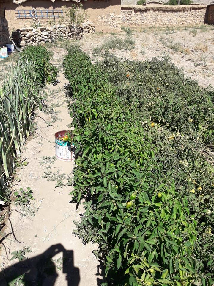 Yunak Sıram Köyü Resimleri 1