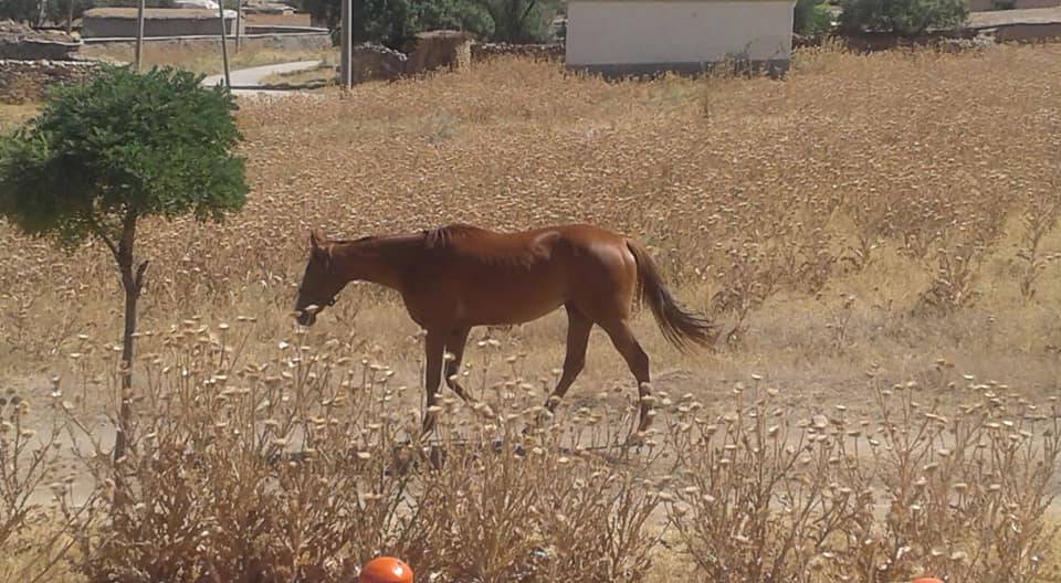Yunak Sıram Köyü Resimleri 2