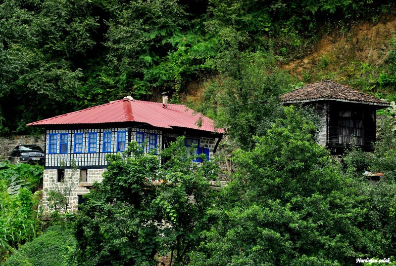 Fındıklı Beydere Köyü Resimleri 11