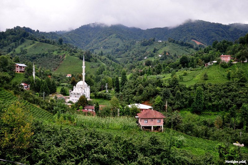Fındıklı Beydere Köyü Resimleri 3