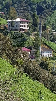 Fındıklı Beydere Köyü Resimleri 4