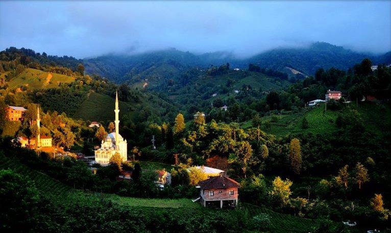 Fındıklı Beydere Köyü Resimleri 5