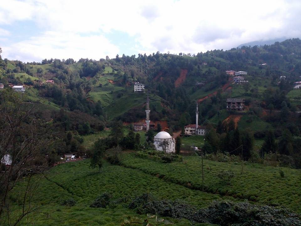 Fındıklı Beydere Köyü Resimleri 7