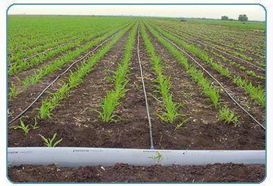 Çorum Kirazlıpınar Köyü Resimleri 1