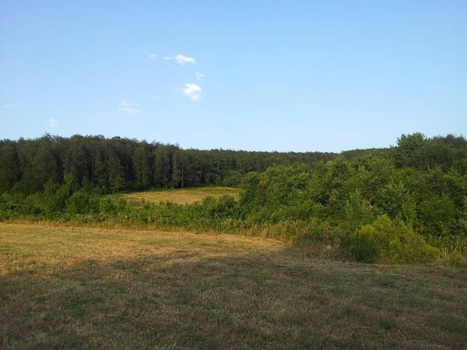 Erfelek Hasandere Köyü Resimleri 3