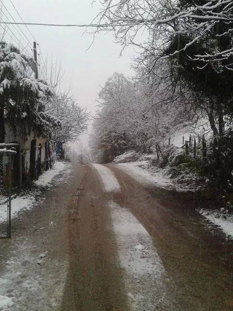 Erfelek Hasandere Köyü Resimleri 4