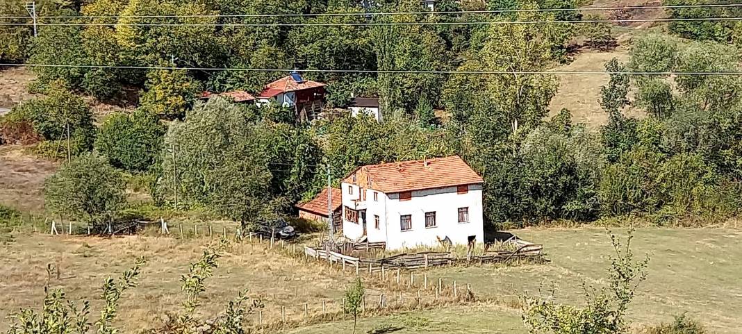 Erfelek Horzum Köyü Resimleri 11