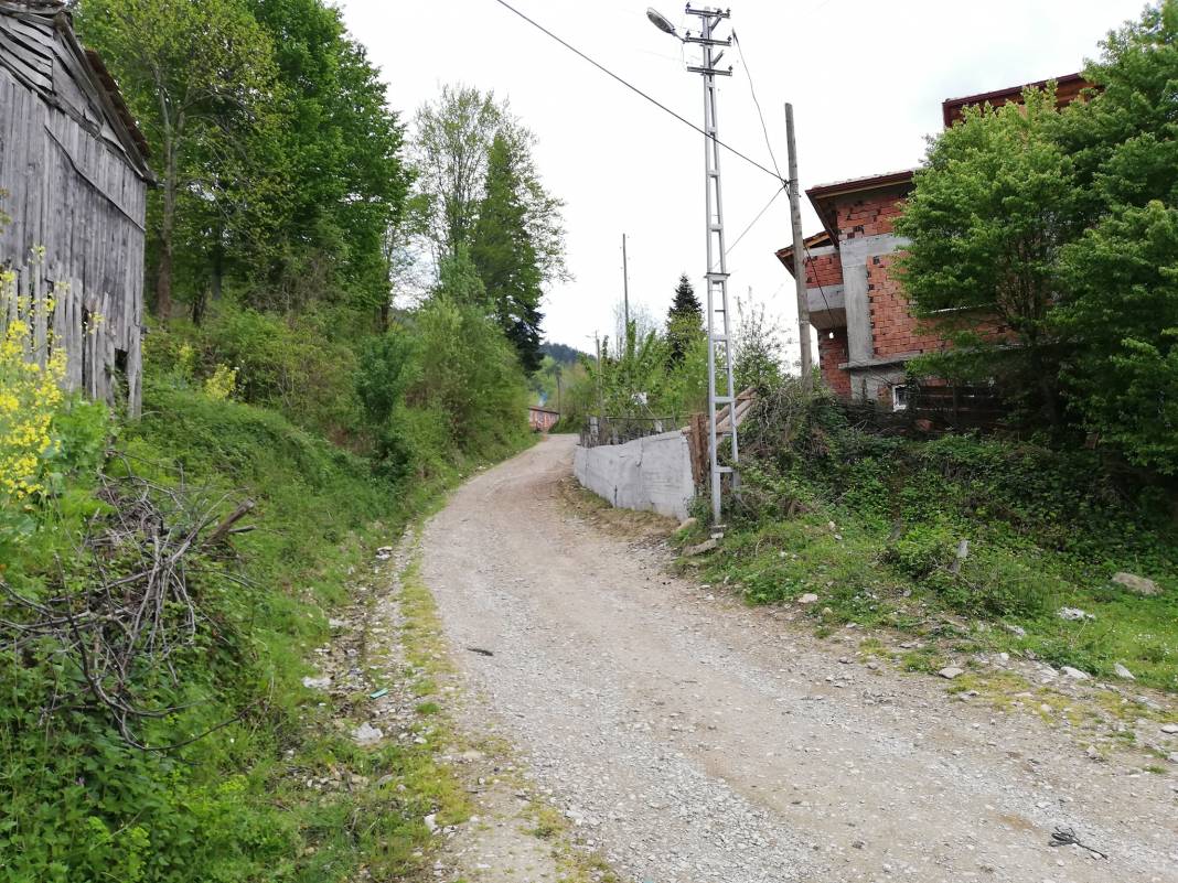 Erfelek Horzum Köyü Resimleri 4