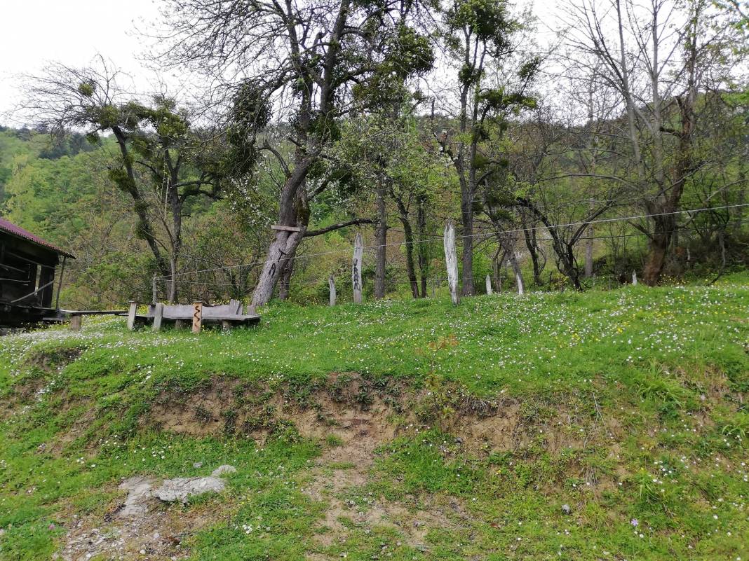 Erfelek Horzum Köyü Resimleri 6