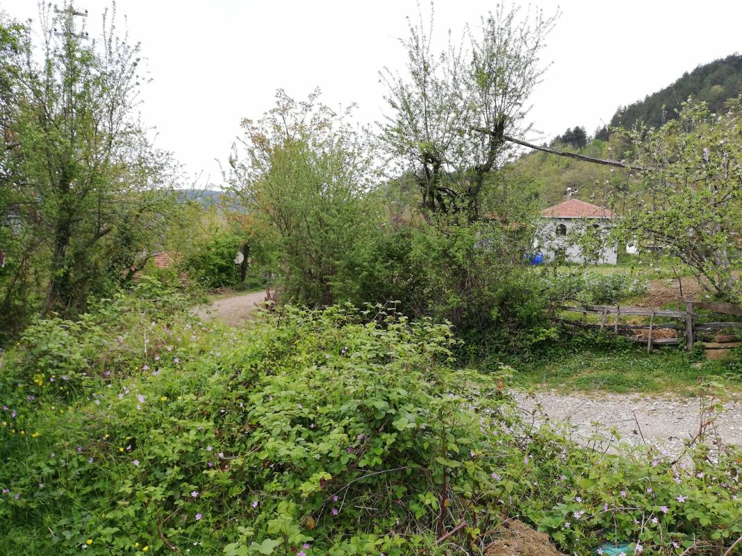 Erfelek Horzum Köyü Resimleri 7